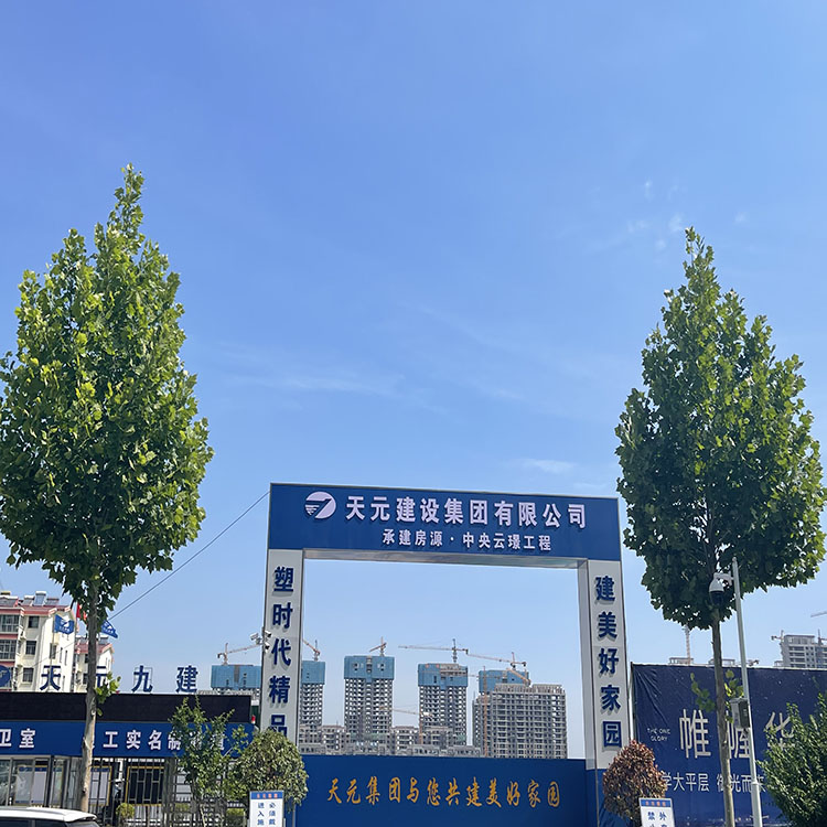 九建中央雲璟